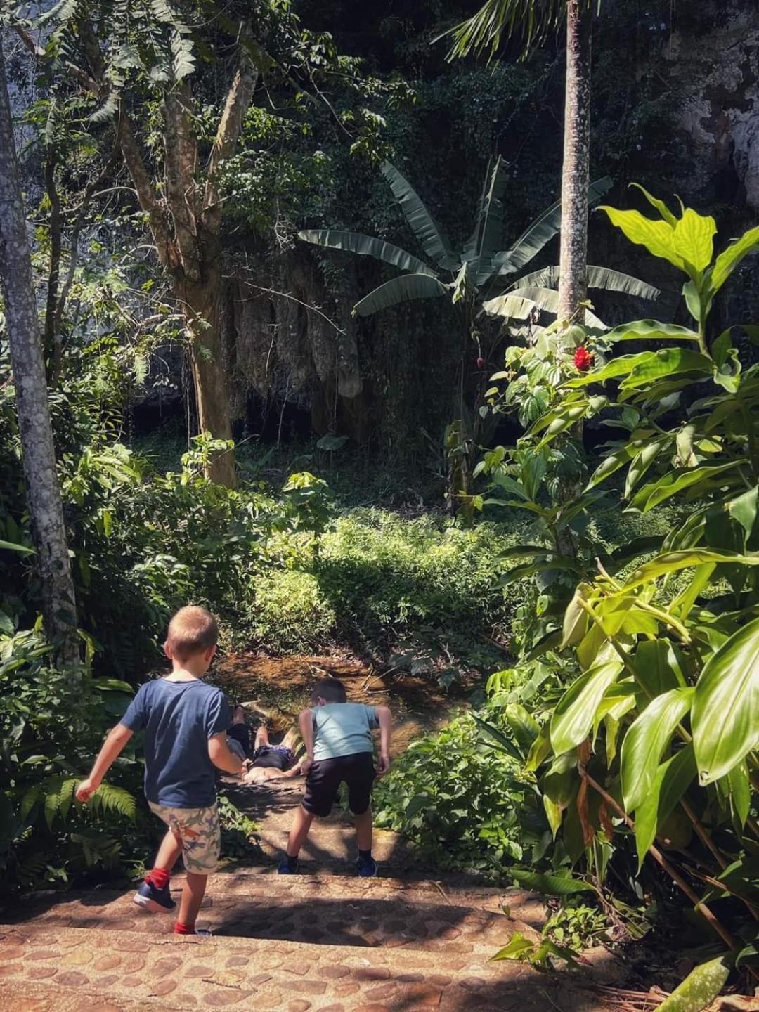 Khao Sok Silver Cliff Resort Khao Sok National Park Экстерьер фото